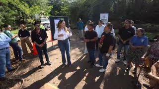 Así será el nuevo Corredor Verde de Mérida: naturaleza, senderos y vida silvestre