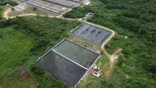 Profepa multa a 26 granjas porcícolas en la Península de Yucatán 