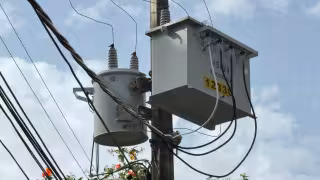 CFE atenderá los apagones en Yucatán con mantenimiento y poda de árboles