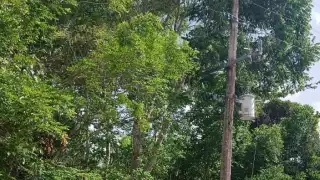 Algunas familias han reportado fallas desde el lunes pasado, lo que evidencia la falta de atención de autoridades