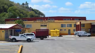 Apicultores disidentes buscan recuperar la mielera