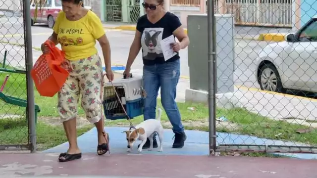El Centro del Bienestar Animal asegura que la Secretaría de Salud ha limitado el número de dosis de vacunas antirrábicas en la cabecera municipal.