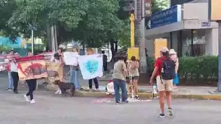 Una segunda corrida de toros se llevará a cabo a finales de enero
