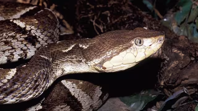 El hombre al encontrarse solo en ese momento, demoró un poco en pedir auxilio.