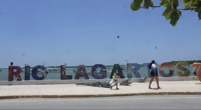 Río Lagartos refuerza conciencia ambiental para proteger su riqueza natural