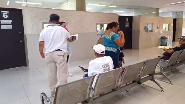 A unas semanas de que finalice el año, se registró una baja del 96.8% de los reportes de la afección