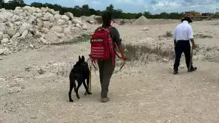 La FGE confirmó el extravío de siete personas, cuatro en  Puerto Morelos y tres más en la Zona Sur de Quintana Roo
