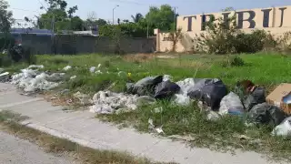   Vecinos de Escárcega exigen sancionar a empresa por convertir predio en un basurero clandestino  