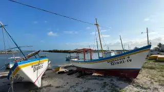 Cuaresma en crisis: Frentes fríos afectan al sector pesquero en Yucatán 