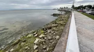 Agua de la bahía se retira 60 metros hacia adentro en Chetumal