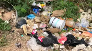 Vecinos de otras colonias acuden al lugar para tirar su basura.
