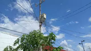 Los vecinos exigen que la CFE revise el transformador para solucionar el problema.