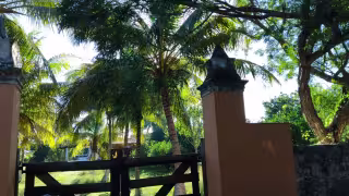 Dueño de un rancho, lo encuentran, en un árbol, ahorcado en Chocholá, Yucatán.