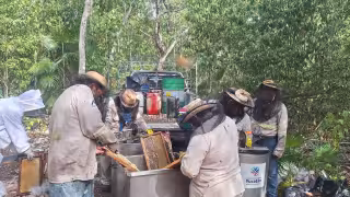 Contaminación en Suc Tuc y Crucero Oxa eleva casos de cáncer y daños a apiarios