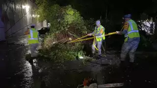 Elementos del Plan DN-III-E auxilian a la población en caso de desastres naturales.