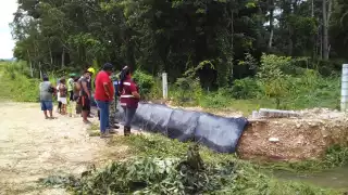 Si hay charcos, hay mosquitos: voltea los recipientes y mantén limpio tu patio