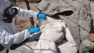 Duro golpe a estructuras criminales: destruyen laboratorios clandestinos en Sinaloa
