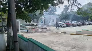 Enjambre de abejas ataca a adulto mayor, docentes y alumnos en la Ribera del Río Hondo