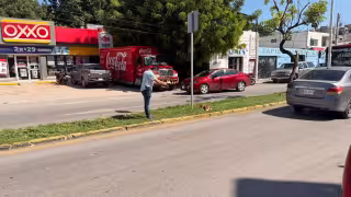 Tres cámaras podrían resolver el caso del perro atropellado en López Mateos