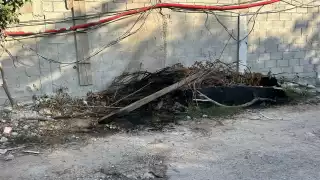 Sujetos llegaron al sitio alrededor de las 2:00 horas, portando una caja, la cual presuntamente abandonaron en el punto