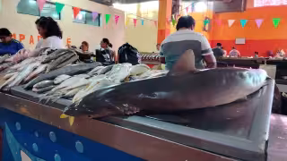 Pandemia y pérdida de tradición afectan venta de pescado