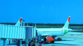 El corazón fue traslado con hermetismo en el aeropuerto de Mérida