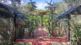 La supuesta remodelación no es evidente en las instalaciones del zoológico.