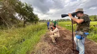 Campeche posee un hábital privilegiado al contar con 496 especies, 128 de ellas migratorias