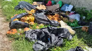 Olores insoportables y basura invaden calle de la colonia Lázaro Cárdenas