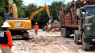 Desarrolladores de Perfect Day México, en Mahahual, incumplen la clausura impuesta por Profepa el 30 de enero.