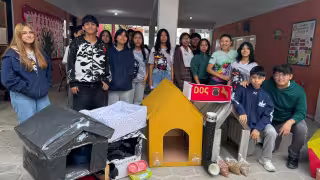 Estudiantes construyeron casas para perros callejeros.