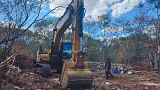 Detectan destrucción de casi tres hectáreas de selva en Yaxcopoil