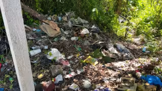 El terreno se localiza sobre la calle 26 en la colonia Chen Pec.
