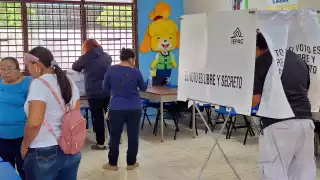 Se ha registrado buena afluencia de personas en las elecciones a comisarios de Mérida