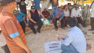 Productores de Tenabo probarán maíz criollo mejorado que promete hasta 4 toneladas por hectárea