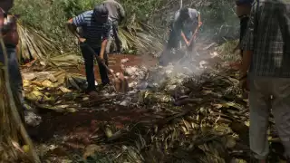 A las generaciones recientes de yucatecos les da pena hablar el idioma de sus antepasados