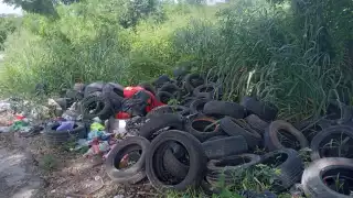 Reportan tiradero de llantas viejas en Chetumal