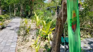 Campeche y la conservación: esfuerzo por salvar plantas en peligro de extinción