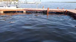 Puertos del Litoral Oriente de Yucatán se ven afectados por el nivel de agua que sube por las noches