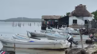 Los volúmenes de captura pesquera se mantienen en niveles bajos en el puerto de Champotón.