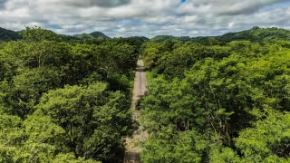 Campeche participa en iniciativa de Biomas Forestales Críticos