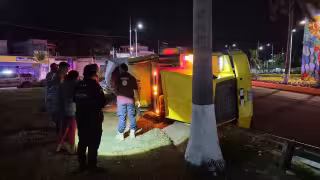 Pesada unidad derriba palmera y barandales en volcadura