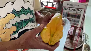 El poblador Manuel Gamboa cultivó un extraño vegetal con forma de mango y chayote