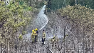 Bomberos evitan que fuego llegue a zona selvática en Yucatán