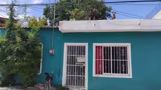 Vicefiscalía abre investigación por perros amarrados en domicilio