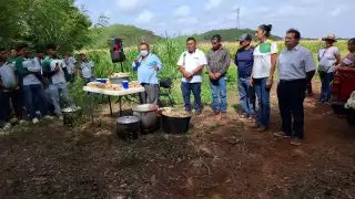 En la ceremonia se sancocharon dos baldes de elotes verdes y se prepararon atole nuevo.