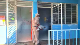 Plaga de moscos invade Yucatán: Inician campañas de fumigación en zonas críticas