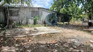 Delincuentes intentan meterse a casa de madrugada y son sorprendidos