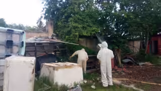 Localizan un enjambre de abejas dentro de un predio particular en Villamadero, Seybaplaya.