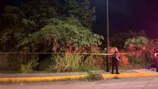 Macabro hallazgo en Playa del Carmen: Sujeto encuentra un cadáver humano en un predio baldío